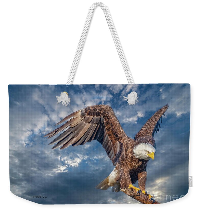 Eagles Weekender Tote Bag featuring the photograph American Bald Eagle Incoming TWO by DB Hayes