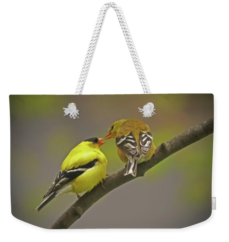 Bird Weekender Tote Bag featuring the photograph American Goldfinch Mates by Ira Marcus