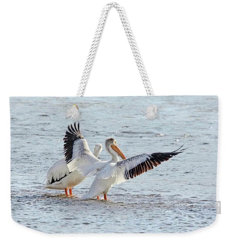 American White Pelican Weekender Tote Bag featuring the photograph American White Pelicans by Jennie Marie Schell