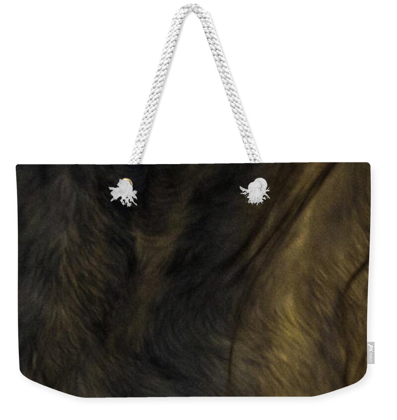Andalusia Weekender Tote Bag featuring the photograph Americano 20 by Catherine Sobredo