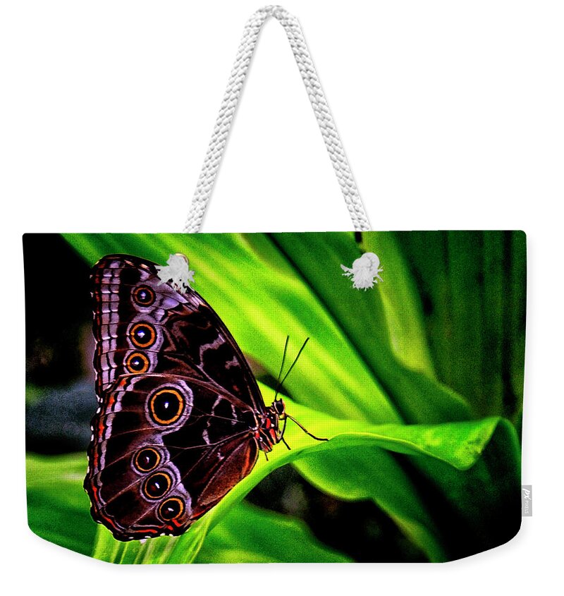 Nature Weekender Tote Bag featuring the photograph Nature's Exquisite Creation by Gerlinde Keating