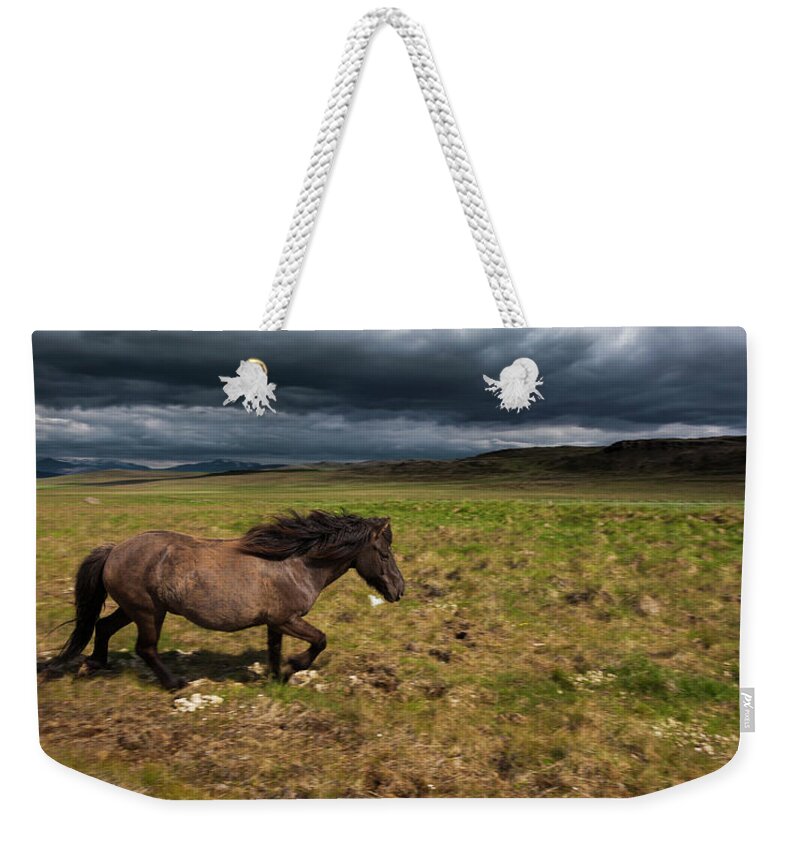 Horse Weekender Tote Bag featuring the photograph An Icelandic Horse On Grassland by Mint Images - Art Wolfe