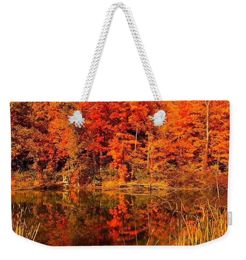 An Infatuation Saturation Weekender Tote Bag featuring the photograph An Infatuation Saturation by Edward Smith