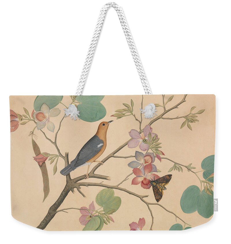 Orchid Weekender Tote Bag featuring the painting An Orange Headed Ground Thrush and a Deaths Head Moth on a Purple Ebony Orchid Branch, 1788 by Sheikh Zainuddin