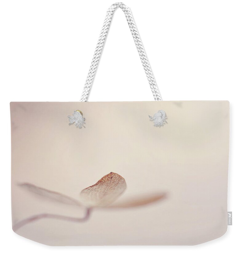 Blush Pink Weekender Tote Bag featuring the photograph And Also by Michelle Wermuth
