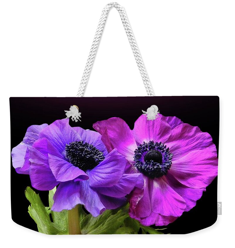 Black Background Weekender Tote Bag featuring the photograph Anemonen Couple by Gitpix