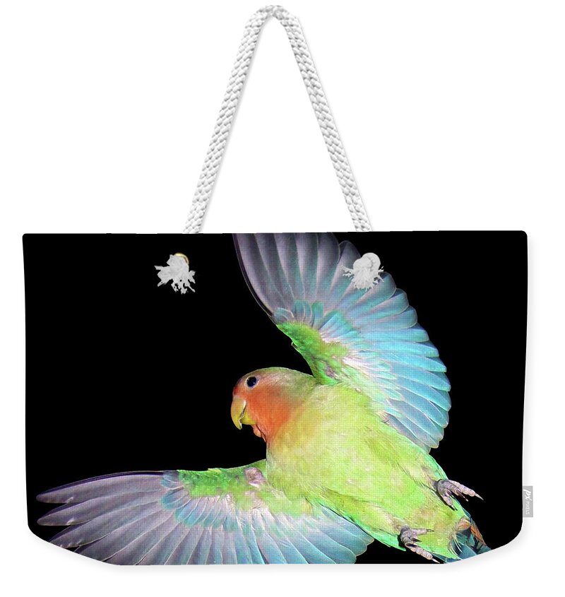 Bird Weekender Tote Bag featuring the photograph Angel Pickle by Terri Waters