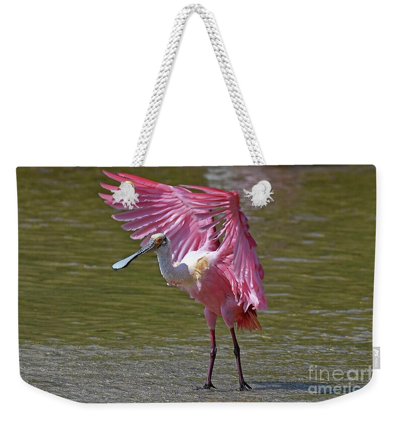 Roseate Spoonbill Weekender Tote Bag featuring the photograph angel wins Spoonbill by Liz Grindstaff