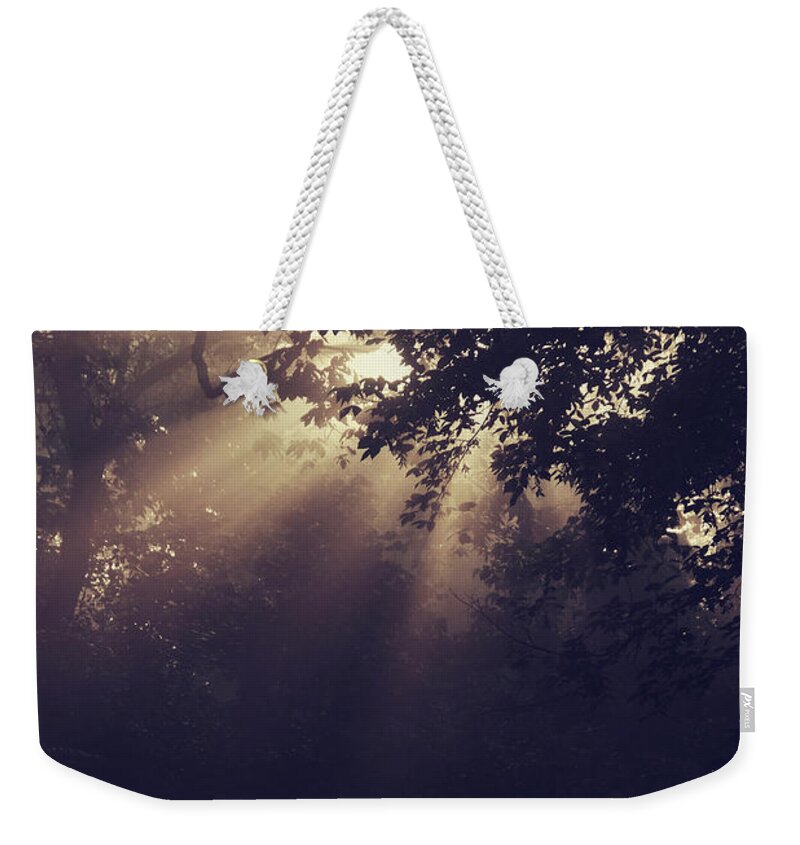Sun Beams Weekender Tote Bag featuring the photograph Angels Called Home by Michelle Wermuth