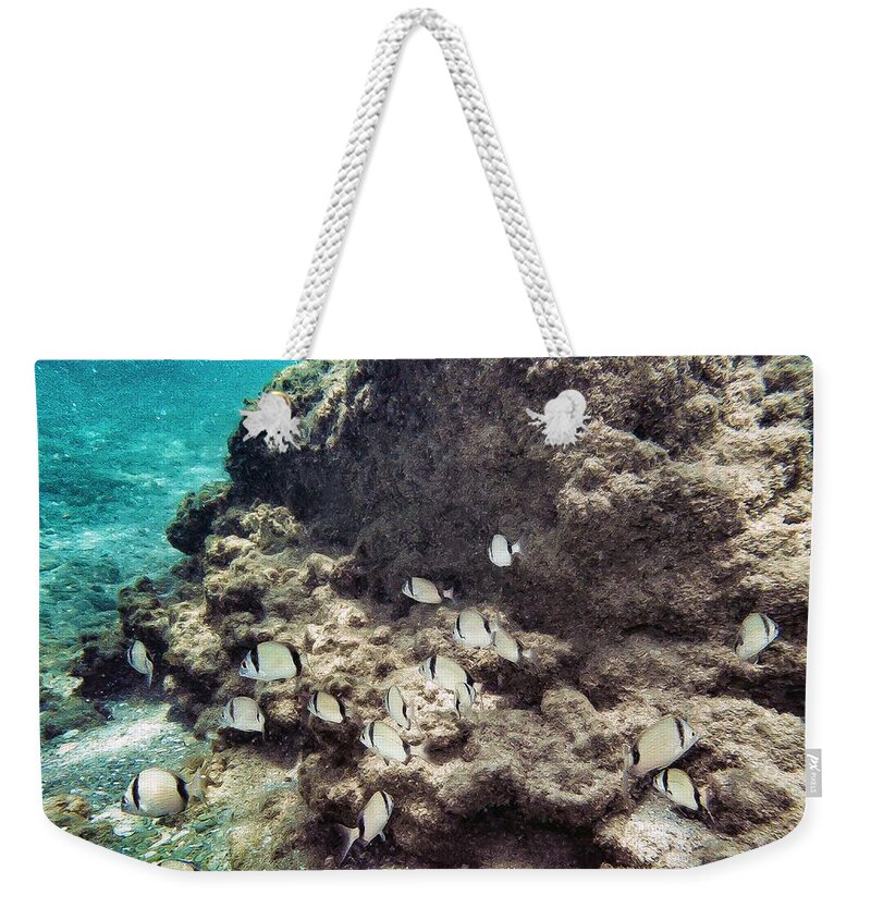 Turquoise. Underwater Weekender Tote Bag featuring the photograph Angels by Meir Ezrachi