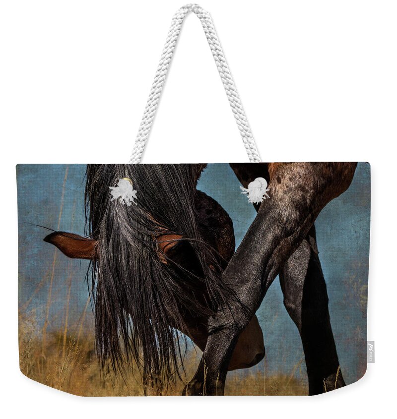 Horse Weekender Tote Bag featuring the photograph Angles of the Horse by Mary Hone