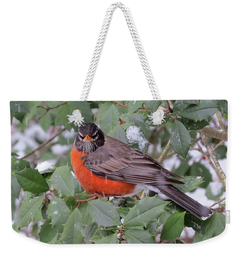Robin Weekender Tote Bag featuring the photograph Angry Robin in the Snow by Linda Stern