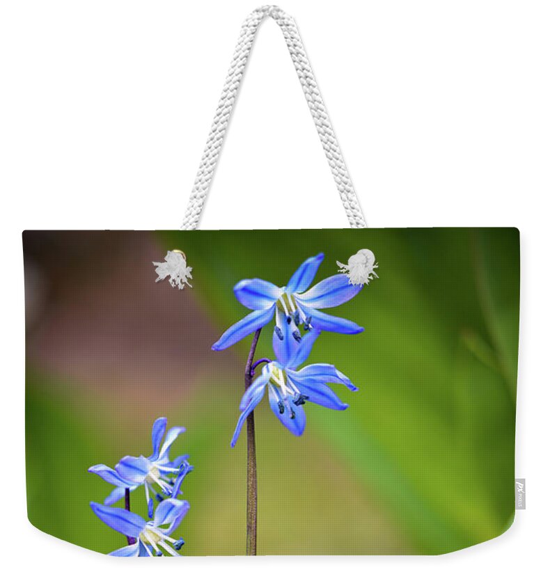 Tiny Blue Flowers Weekender Tote Bag featuring the photograph Animated by Michelle Wermuth