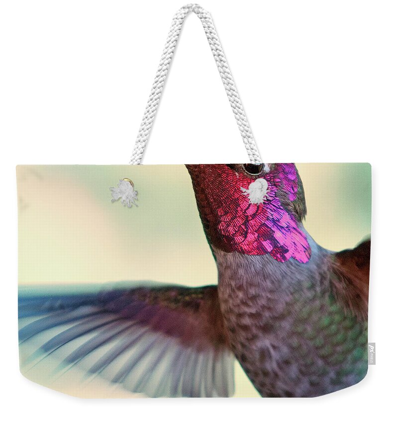 Animal Themes Weekender Tote Bag featuring the photograph Annas Hummingbird by By Ed Sweeney