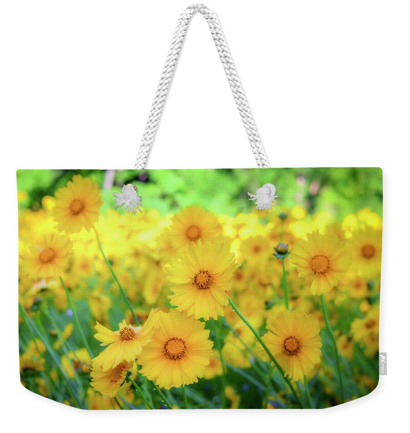 Pollinator Weekender Tote Bag featuring the photograph Another Glimpse, Pollinator Field by Cindy Lark Hartman