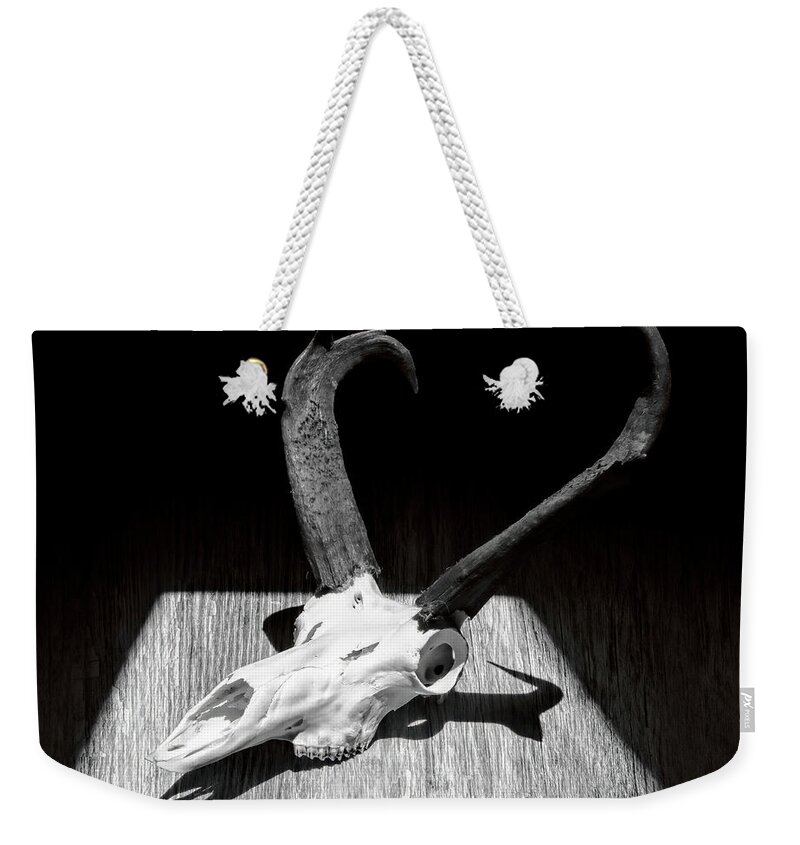 Kansas Weekender Tote Bag featuring the photograph Antelope 003 by Rob Graham
