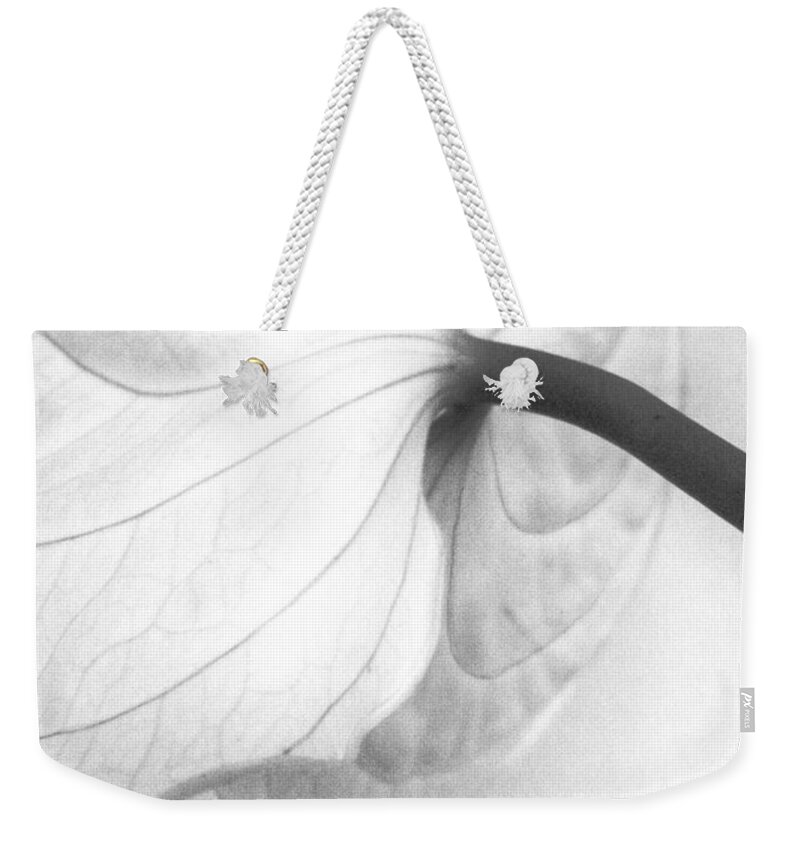Petal Weekender Tote Bag featuring the photograph Anthurium Flower by Sandrine Bron
