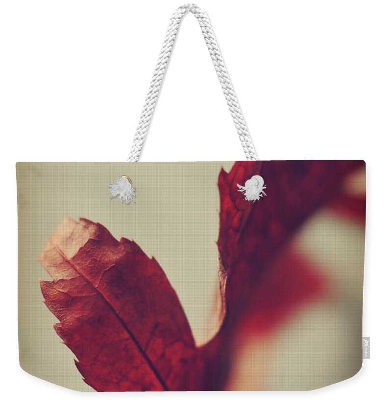 Red Leaf Weekender Tote Bag featuring the photograph Anxious Nights by Michelle Wermuth
