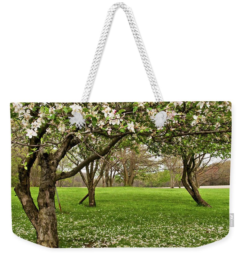 Spring Weekender Tote Bag featuring the photograph Apple Orchard by Minnie Gallman