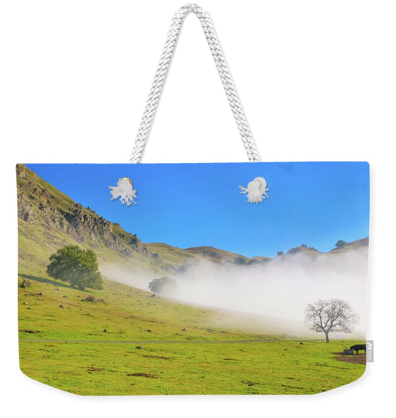 Grass Weekender Tote Bag featuring the photograph Approaching Mission Peak by Sean Duan