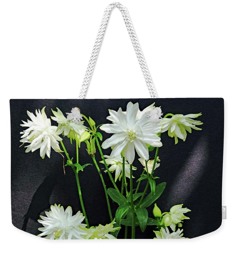 Aquilegia Weekender Tote Bag featuring the photograph Aquilegia Vulgaris Lime Sorbet by Jeff Townsend