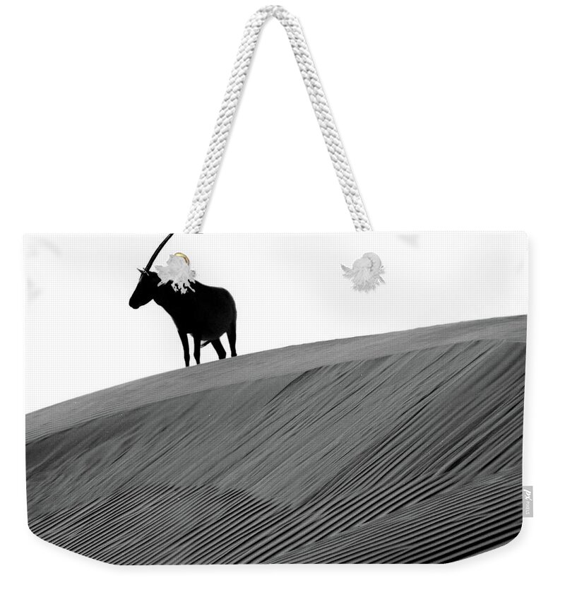Arabian Oryx And The Myth Of The Unicorn Weekender Tote Bag by Joe