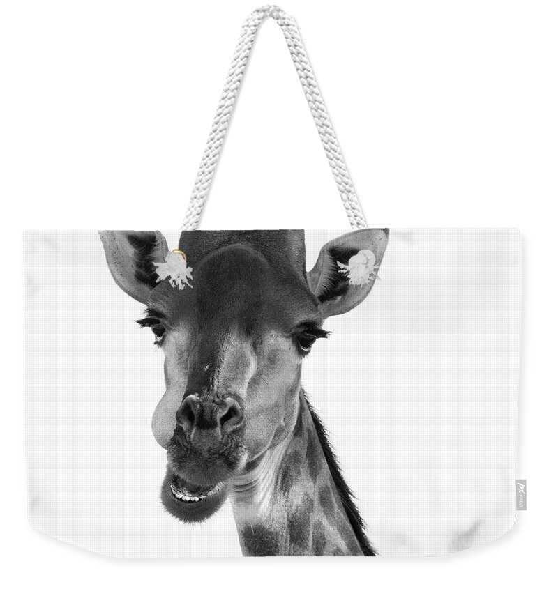 Giraffe Weekender Tote Bag featuring the photograph Are You Looking at Me by Mark Hunter