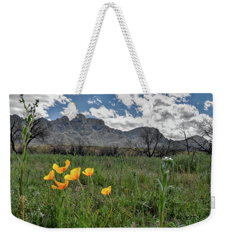 Poppies Weekender Tote Bag featuring the photograph Arizona Poppies by Chance Kafka