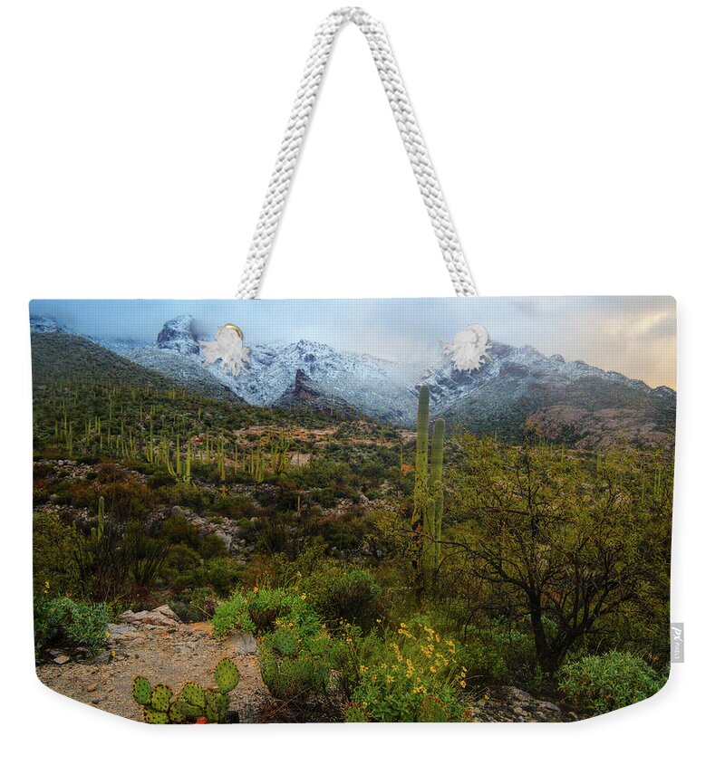 Tucson Weekender Tote Bag featuring the photograph Arizona Winter Light by Chance Kafka