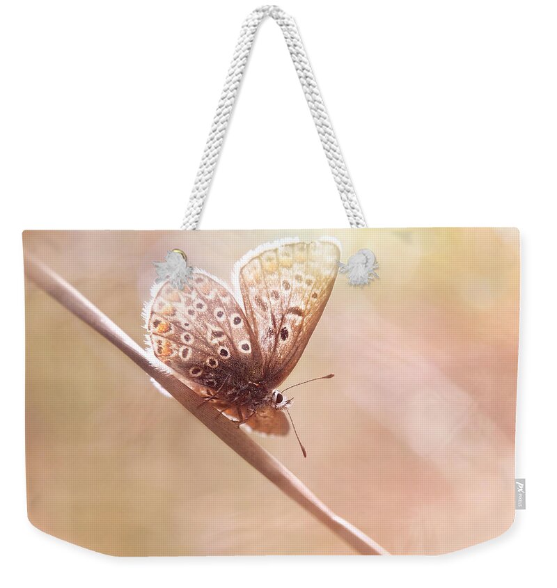 Butterfly Weekender Tote Bag featuring the photograph Around The Meadow 5 by Jaroslav Buna