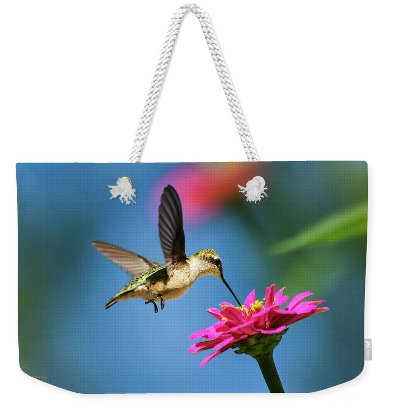 Hummingbird Weekender Tote Bag featuring the photograph Art of Hummingbird Flight by Christina Rollo