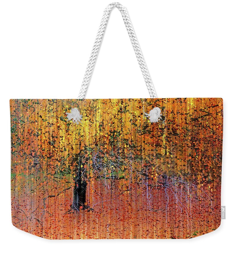 Autumn Weekender Tote Bag featuring the photograph Asian Impressions by Jessica Jenney