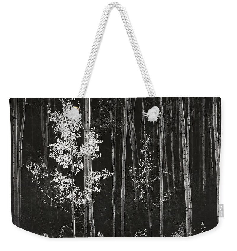 Ansel Adams Weekender Tote Bag featuring the digital art Aspens Northern New Mexico by Ansel Adams