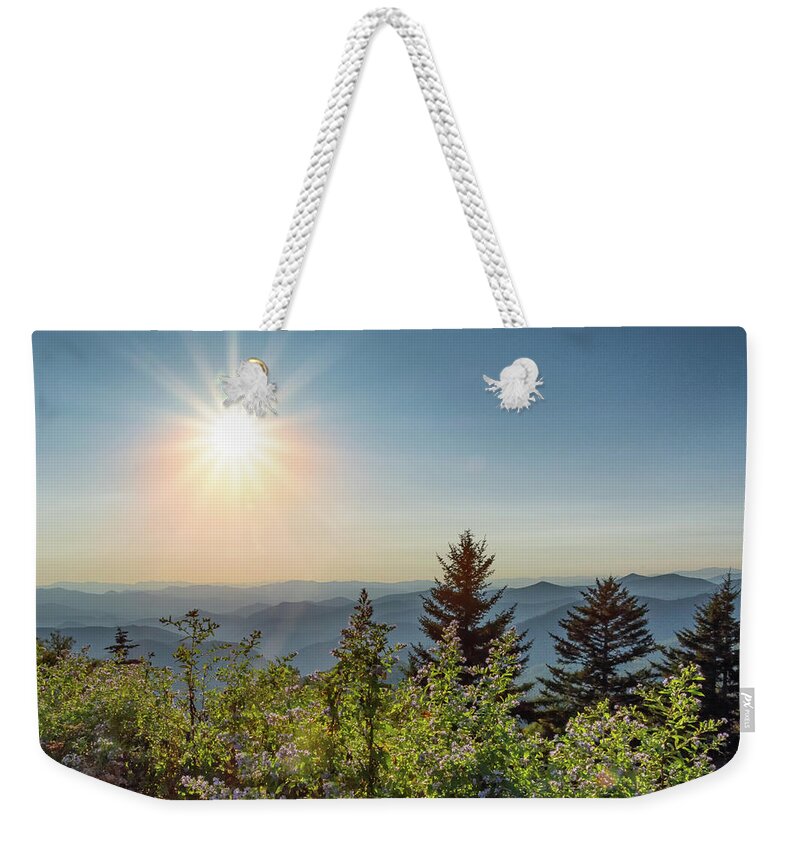 Blue Ridge Mountains Weekender Tote Bag featuring the photograph Aster Adieu by Kristina Plaas