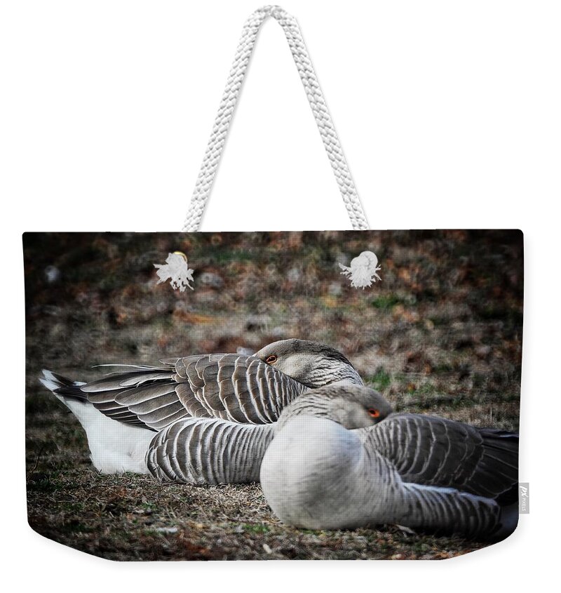  Weekender Tote Bag featuring the photograph At Rest by DArcy Evans