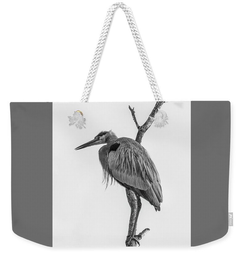 2019 Weekender Tote Bag featuring the photograph At Rest by Ray Silva