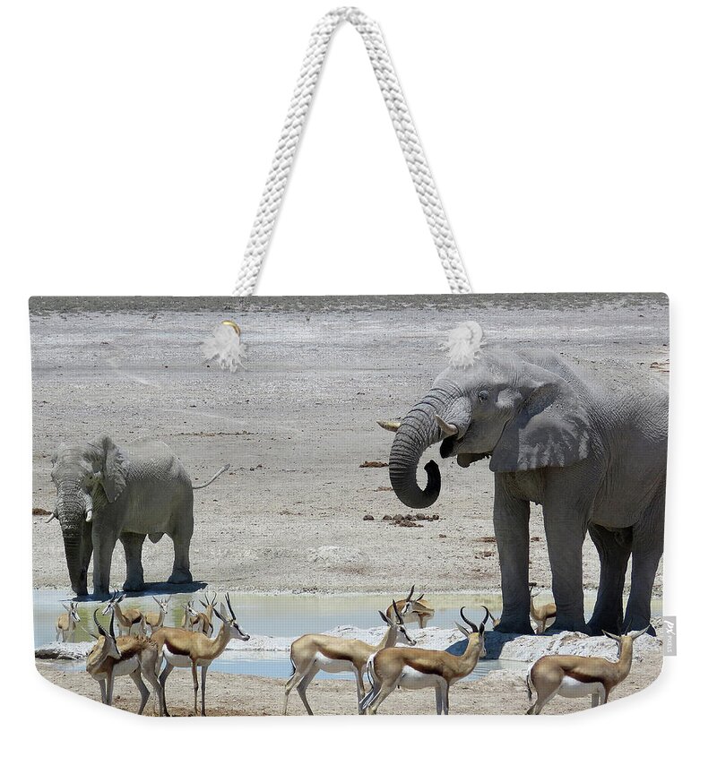 Africa Weekender Tote Bag featuring the photograph At the water Hole ... by Eric Pengelly