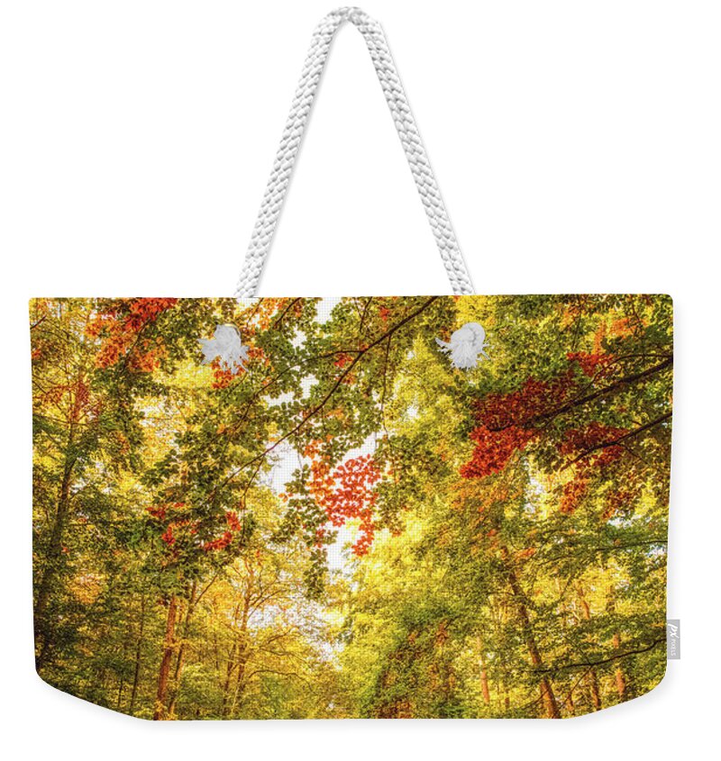 Autumn Weekender Tote Bag featuring the photograph Autumn Colorful Path by Philippe Sainte-Laudy
