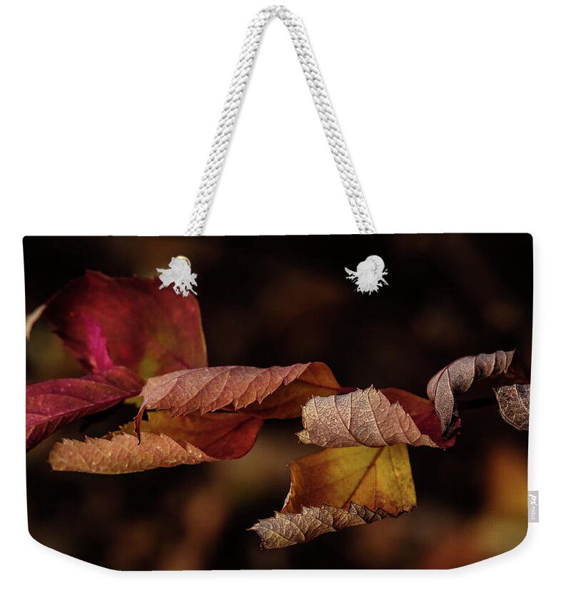 Leave Weekender Tote Bag featuring the photograph Autumn Curls by Glenn DiPaola