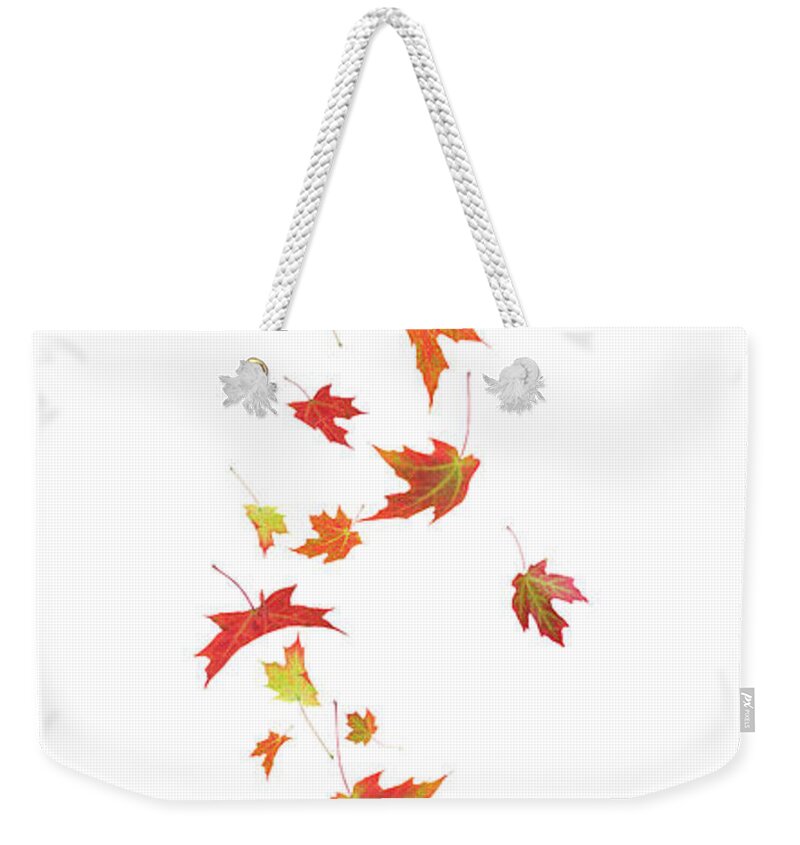 White Background Weekender Tote Bag featuring the photograph Autumn Falling Maple Leaves by Liliboas
