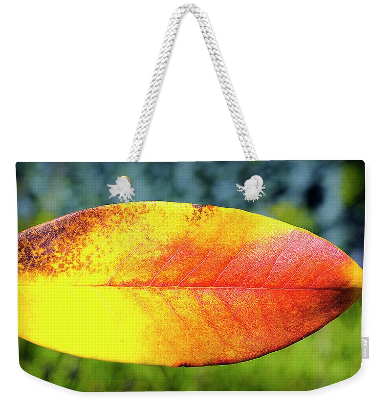 Autumn Weekender Tote Bag featuring the photograph Autumn Five by Tikvah's Hope