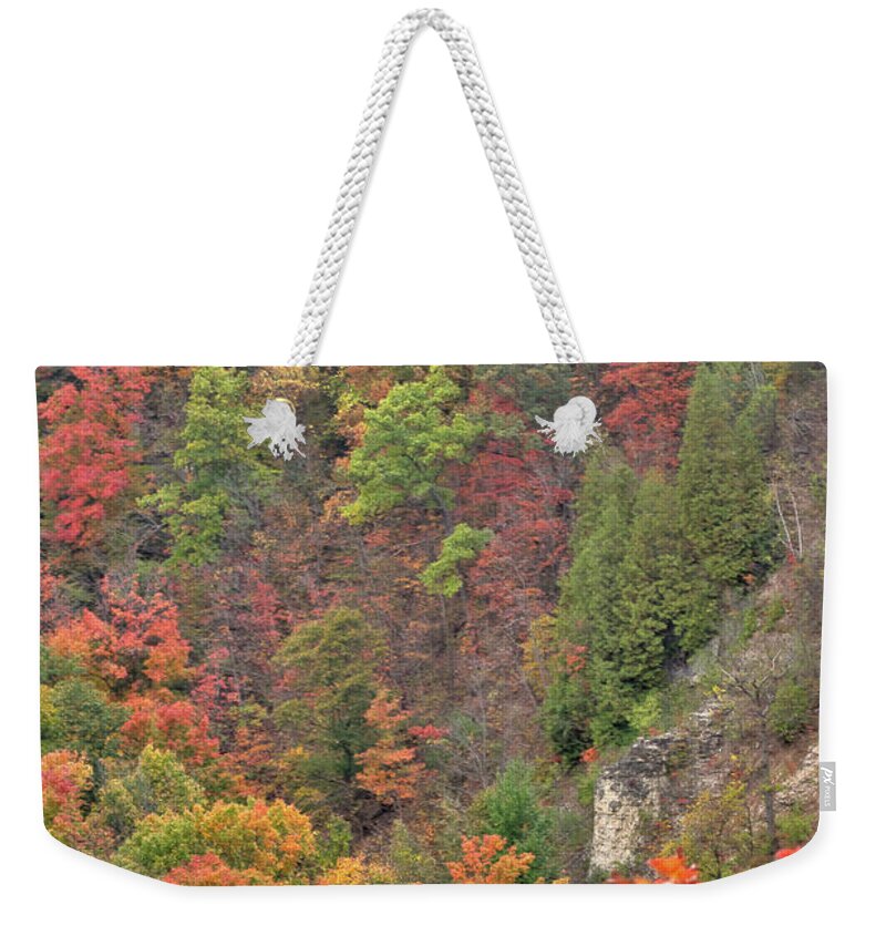 Canada Weekender Tote Bag featuring the photograph Autumn Foliage by Nick Mares