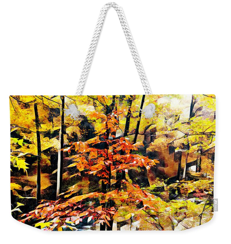 Fall Weekender Tote Bag featuring the photograph Autumn Forest Leaves Abstract by Debra and Dave Vanderlaan