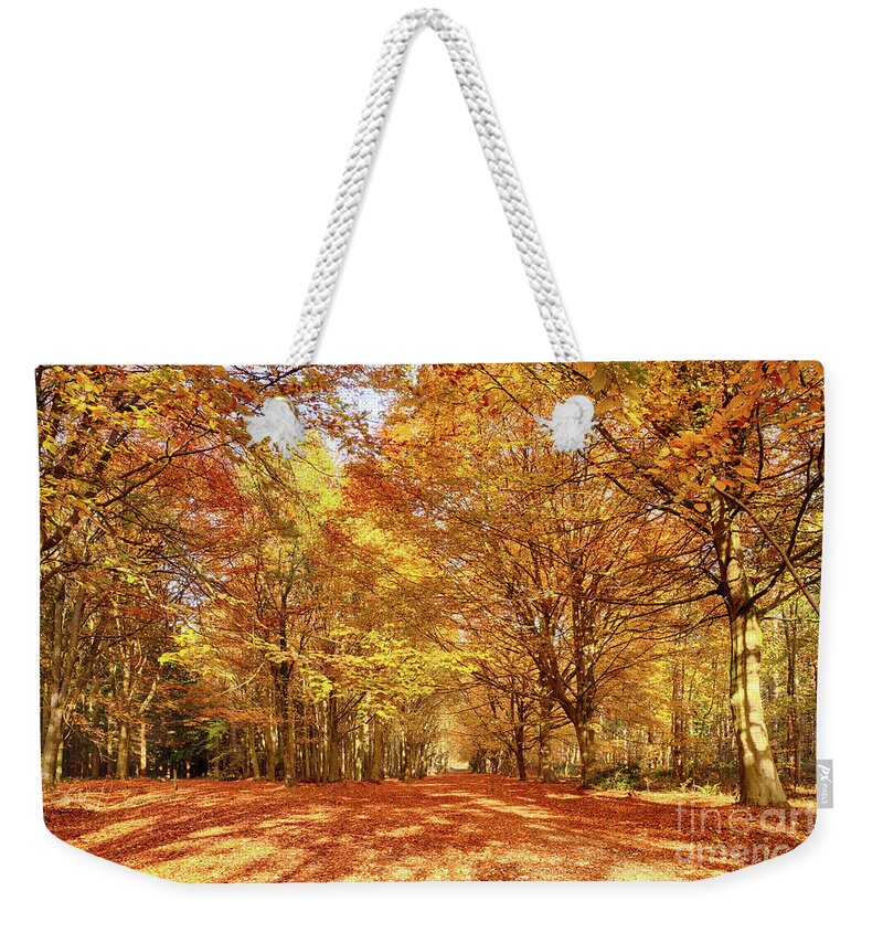 Norfolk Weekender Tote Bag featuring the photograph Norfolk's great autumn forest trees by Simon Bratt