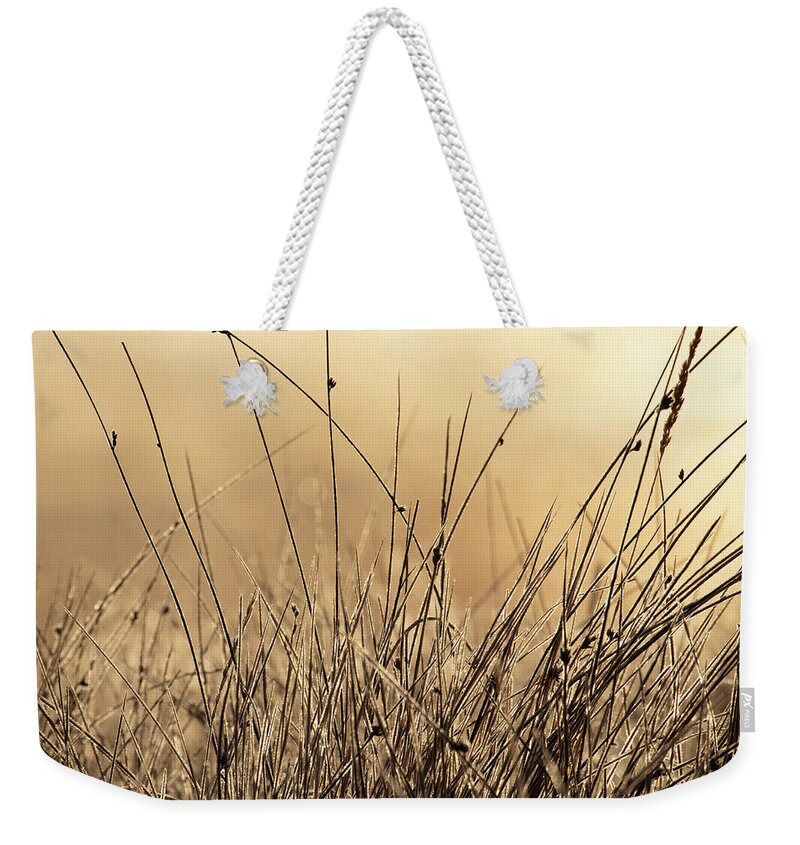 Autumn Weekender Tote Bag featuring the photograph Autumn Grass in Colorado by Kevin Schwalbe