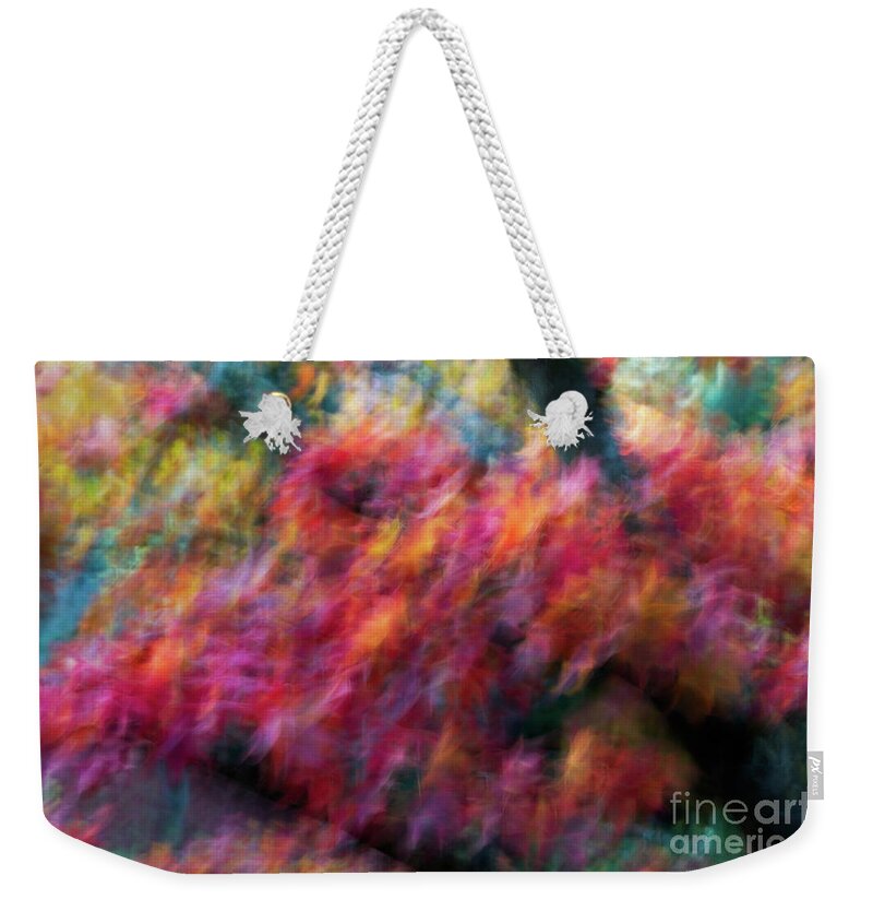 Abstract Weekender Tote Bag featuring the photograph Autumn Impressions 5 by Venetta Archer