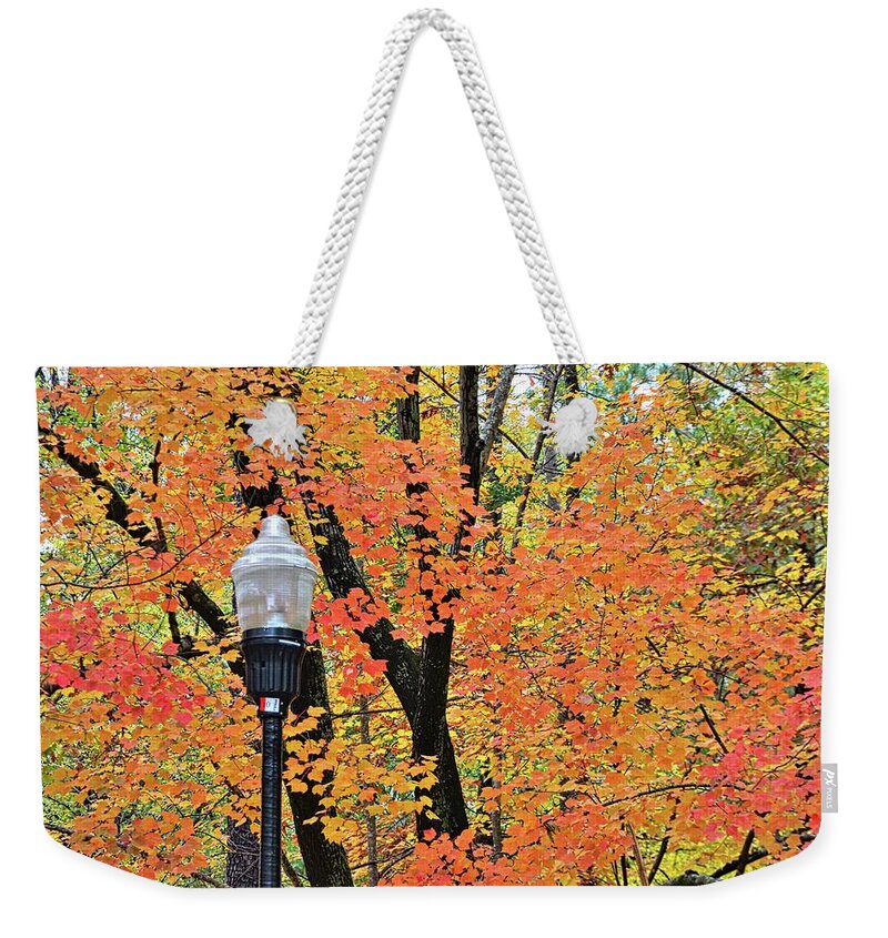 Autumn Light Weekender Tote Bag featuring the photograph Autumn Light by Lisa Wooten