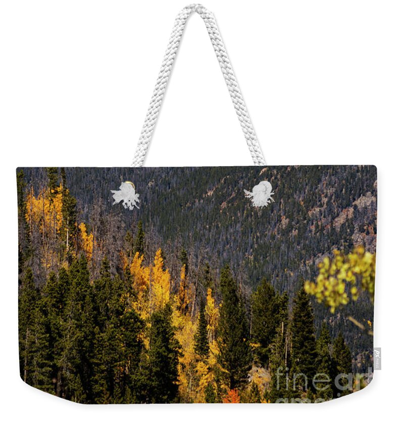 Trail Ridge Road Weekender Tote Bag featuring the photograph Autumn on Trail Ridge Road by Steven Krull