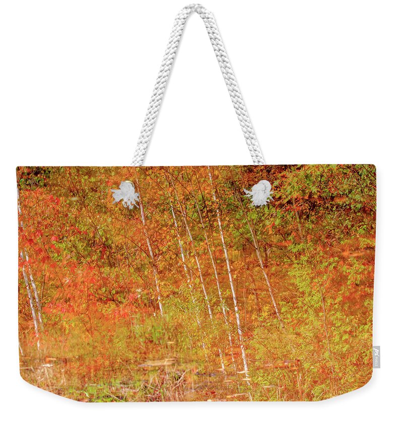 Gary Hall Weekender Tote Bag featuring the photograph Autumn Pond Reflection by Gary Hall
