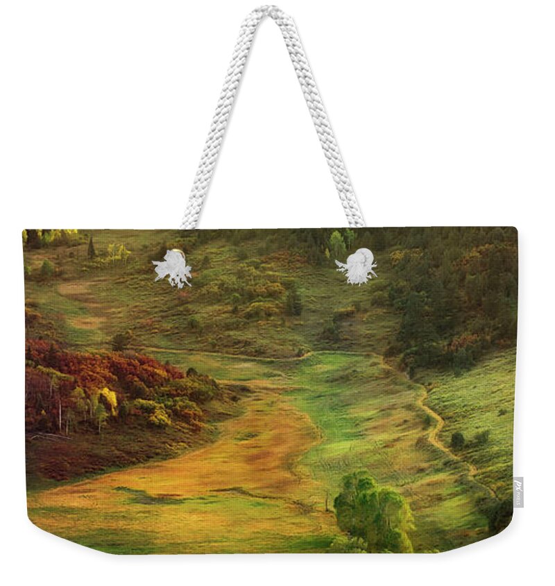 Colorado Weekender Tote Bag featuring the photograph Autumn Rays by Debra Boucher